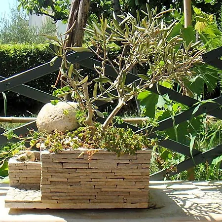 Olea 3* Poreč