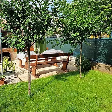 Olea Poreč