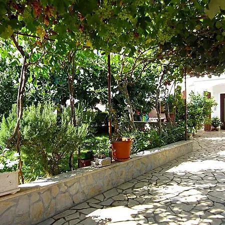 Olea 3* Poreč